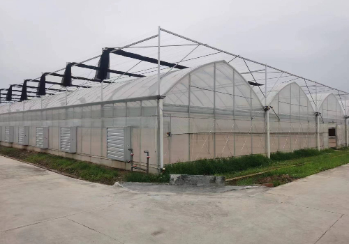 邱村镇建造绿色蔬菜高标准大棚建设项目