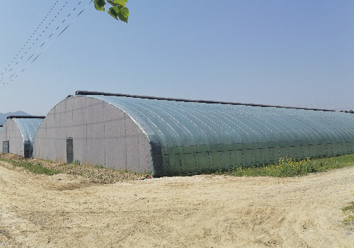 一亩地各种温室大棚建设造价多少钱？