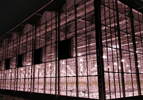 智能连栋玻璃温室蔬菜大棚建设优点