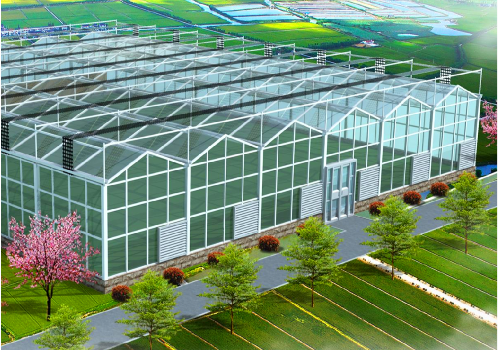 各种连栋温室大棚建设施工造价对比？