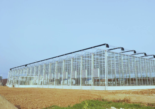 玻璃温室顶为什么要选用PC阳光板掩盖呢？