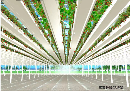 Planning and design of Strawberry Greenhouse Construction