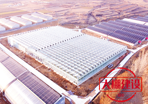 如何建设玻璃温室大棚？