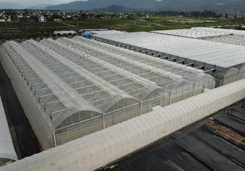 寿光银河999小玛丽水果游戏大棚建设温室公司