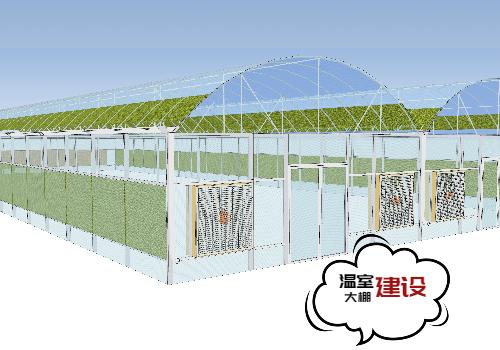 为什么 2026 温室大棚建设必爆？三大红利挡不住！?