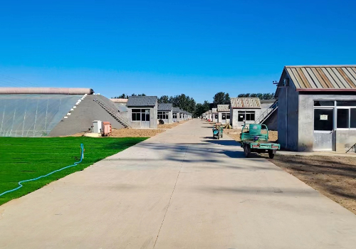 寿光拥有蔬菜大棚建设15.7万个？