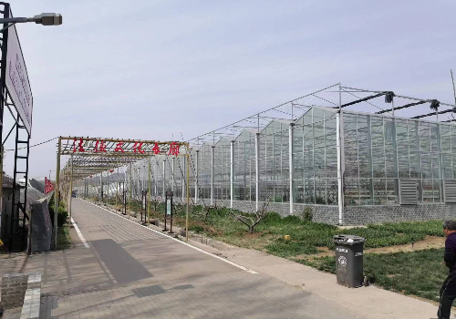 温室大棚建设造价多少钱一平？