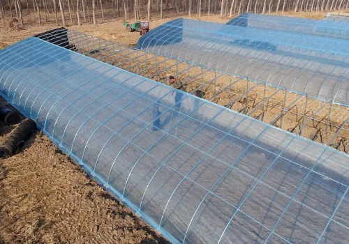 全国各地适合做什么样的大棚？