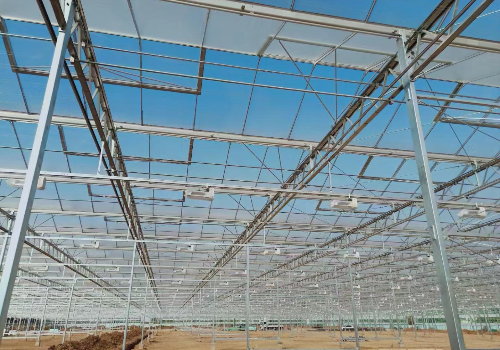 建设温室大棚需要具备哪些条件？