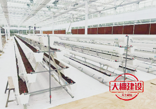 无土栽培大棚建设时要注意什么吗？