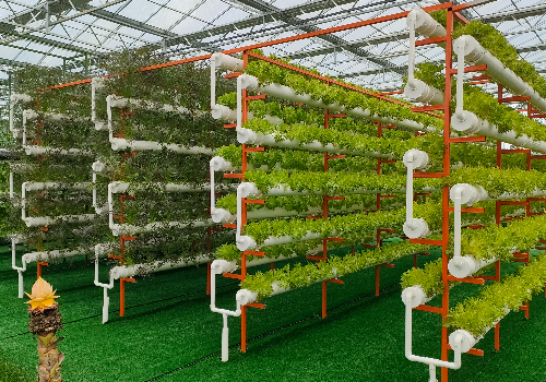 玻璃连栋温室智能化，让农业创新升级