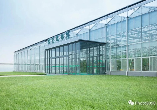 【蔬菜大棚建设】让质量与品质并存，从源头做起！