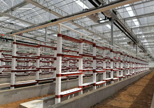 大棚建设的规划设计：合理利用土地的艺术