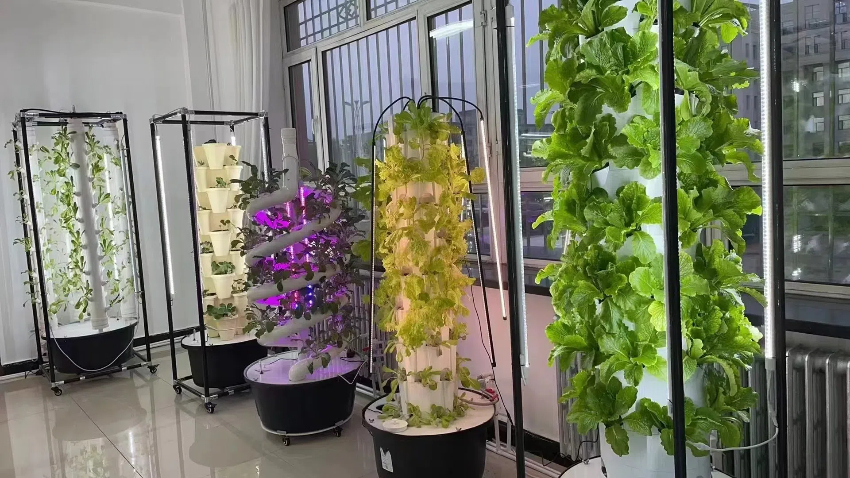 蔬菜无土栽培设备厂家